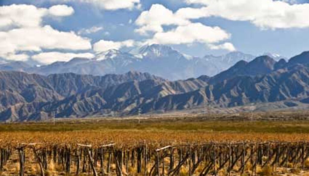 Argentinien-Wein
