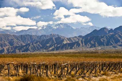 Argentinien-Wein